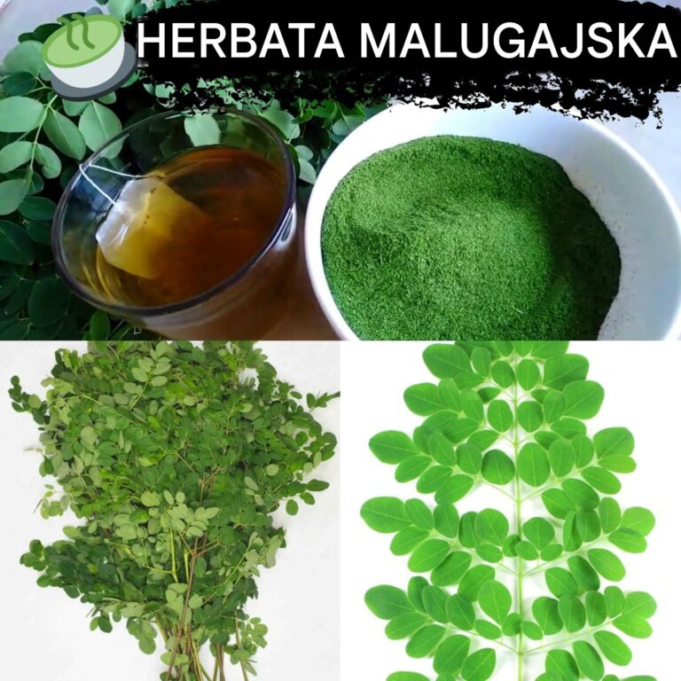 Jak_zrobi__herbat__Malunggay_z_proszku