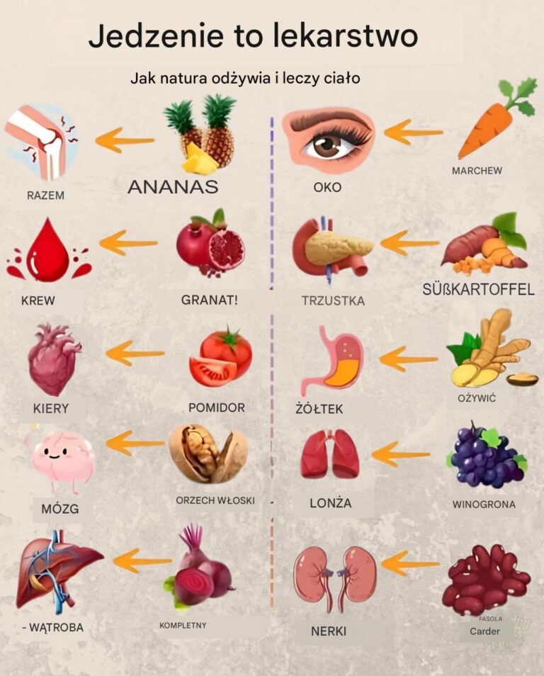 Jedzenie_to_lekarstwo__jak_natura_od_ywia_i_leczy-1