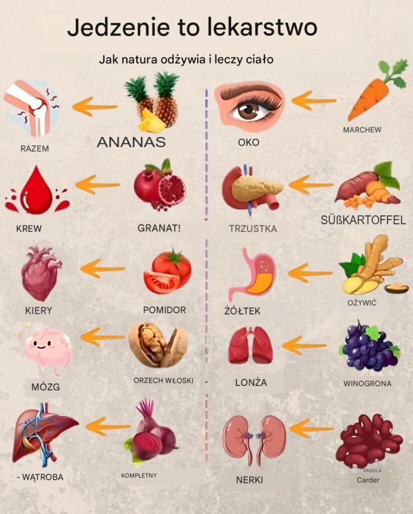 Jedzenie_to_lekarstwo__jak_natura_od_ywia_i_leczy Jedzenie_to_lekarstwo__jak_natura_od_ywia_i_leczy