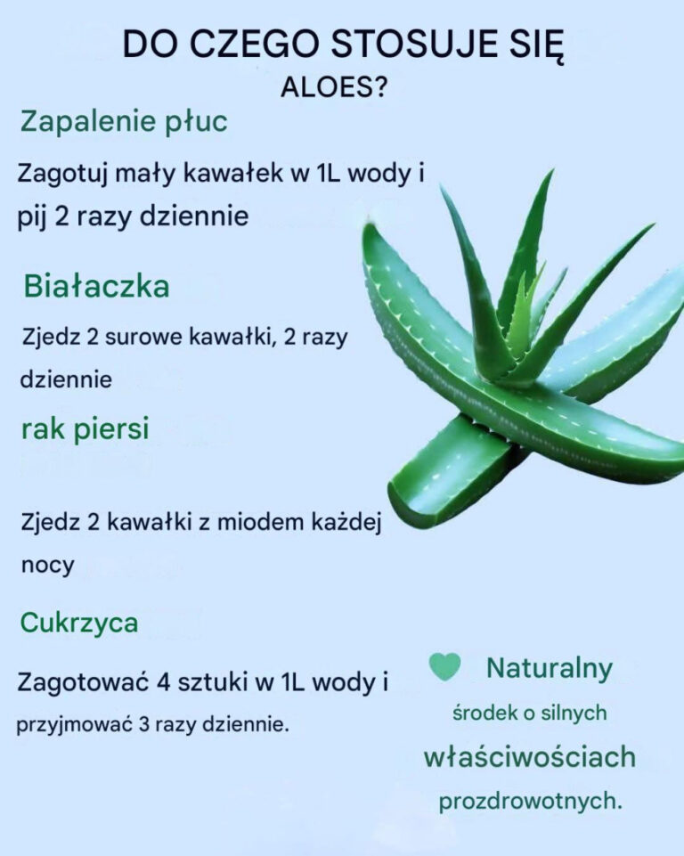 Korzy_ci_i_zastosowania_aloesu