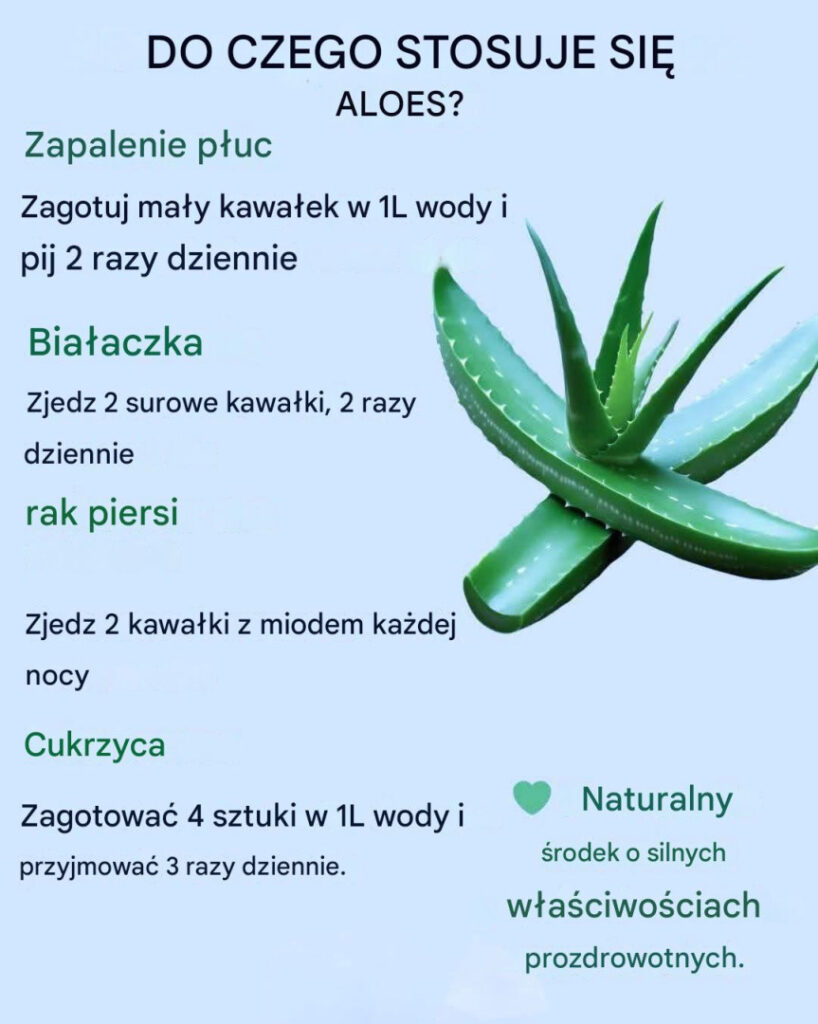 Korzy_ci_i_zastosowania_aloesu Korzy_ci_i_zastosowania_aloesu