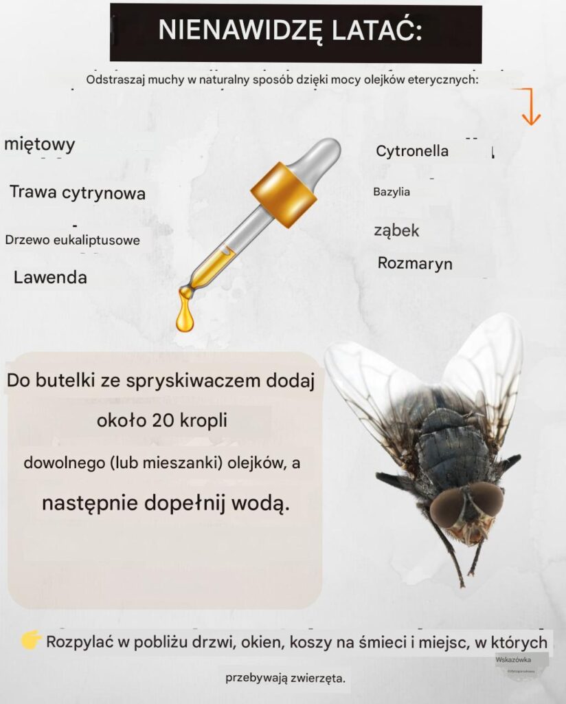 MUCHY_NIENAWIDZ__TYCH_OLEJK_W_ETERYCZNYCH_-1 MUCHY_NIENAWIDZ__TYCH_OLEJK_W_ETERYCZNYCH_-1