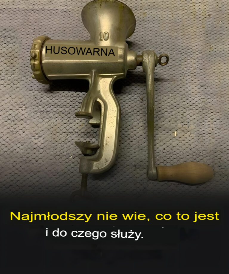M_odzi_ludzie_nie_wiedz___co_to_jest_geboren_ani_do_czego_s_u_y_