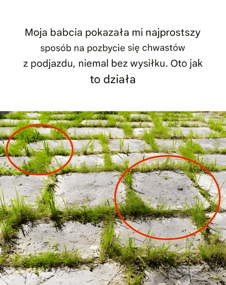 Moja_babcia_pokaza_a_mi_naj_atwiejszy_spos_b_na_pozbycie_si__chwast_w_z_podjazdu__kt_ry_wymaga_niemal_zerowego_nak_adu_pracy___oto_jak_to_dzia_a