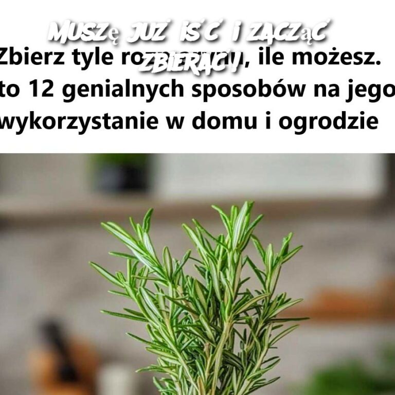 Musz__ju__i___i_zacz___zbiera__