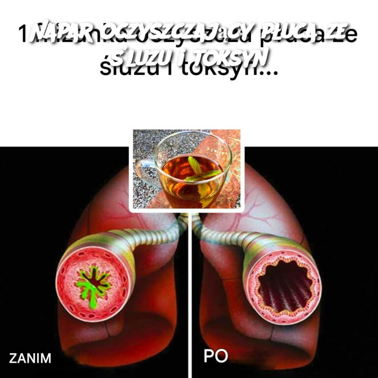 Napar_oczyszczaj_cy_p_uca_ze__luzu_i_toksyn