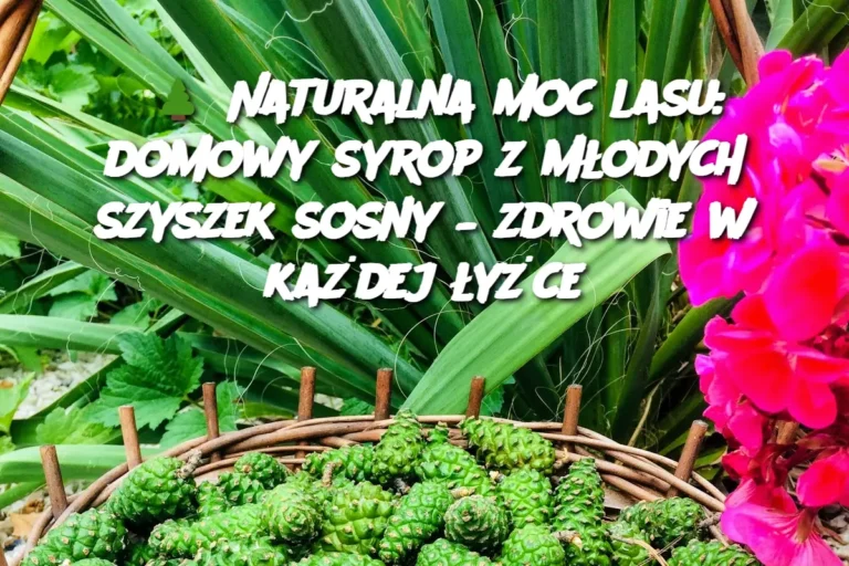 Naturalna_moc_lasu__domowy_syrop_z_m_odych_szyszek_sosny___zdrowie_w_ka_dej__y_ce