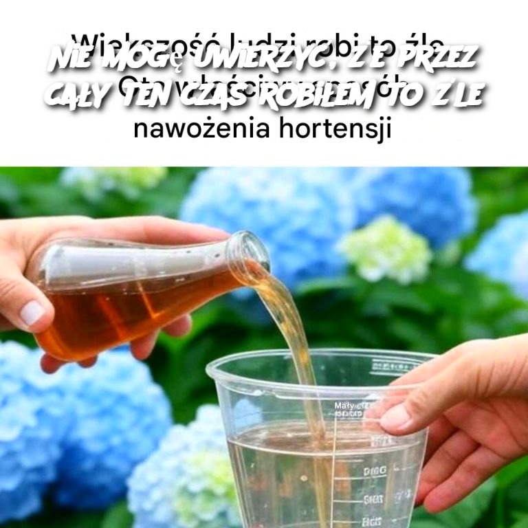 Nie_mog__uwierzy____e_przez_ca_y_ten_czas_robi_em_to__le Nie_mog__uwierzy____e_przez_ca_y_ten_czas_robi_em_to__le