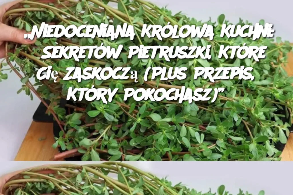 Niedoceniana_Kr_lowa_Kuchni__8_Sekret_w_Pietruszki__Kt_re_Ci__Zaskocz___Plus_Przepis__Kt_ry_Pokochasz__ Niedoceniana_Kr_lowa_Kuchni__8_Sekret_w_Pietruszki__Kt_re_Ci__Zaskocz___Plus_Przepis__Kt_ry_Pokochasz__