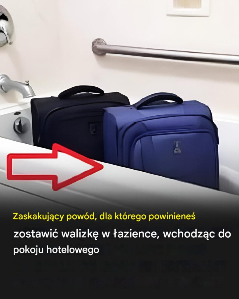 Nietypowy_trik_na_ochron__baga_u_w_hotelu__o_kt_rym_ma_o_kto_wie Nietypowy_trik_na_ochron__baga_u_w_hotelu__o_kt_rym_ma_o_kto_wie