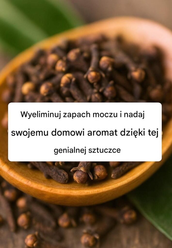 Niezawodny_spos_b_na_pozbycie_si__zapachu_moczu_i_wype_nienie_domu_perfumami_ Niezawodny_spos_b_na_pozbycie_si__zapachu_moczu_i_wype_nienie_domu_perfumami_