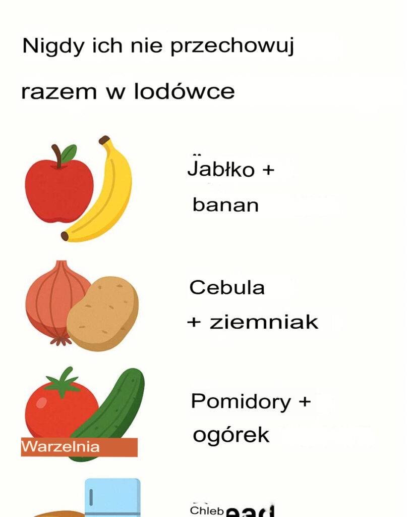 Nigdy_nie_przechowuj_ich_razem_w_lod_wce Nigdy_nie_przechowuj_ich_razem_w_lod_wce