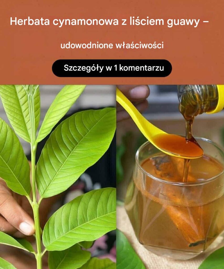 Odkryj_moc_herbaty_z_cynamonem_i_li__mi_guawy_ Odkryj_moc_herbaty_z_cynamonem_i_li__mi_guawy_