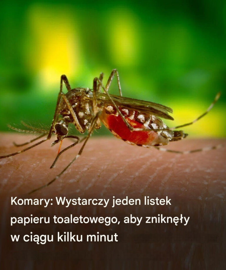 Odp_dzaj_komary_w_mgnieniu_oka_dzi_ki_tej_zaskakuj_cej_sztuczce_z_papierem_toaletowym