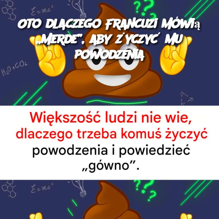 Oto_dlaczego_Francuzi_m_wi___Merde___aby__yczy__mu_powodzenia