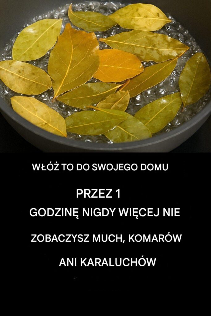 Po_egnaj_si__z_muchami__komarami_i_karaluchami__gotuj_c_te_li_cie