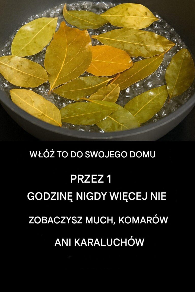 Po_egnaj_si__z_muchami__komarami_i_karaluchami__gotuj_c_te_li_cie