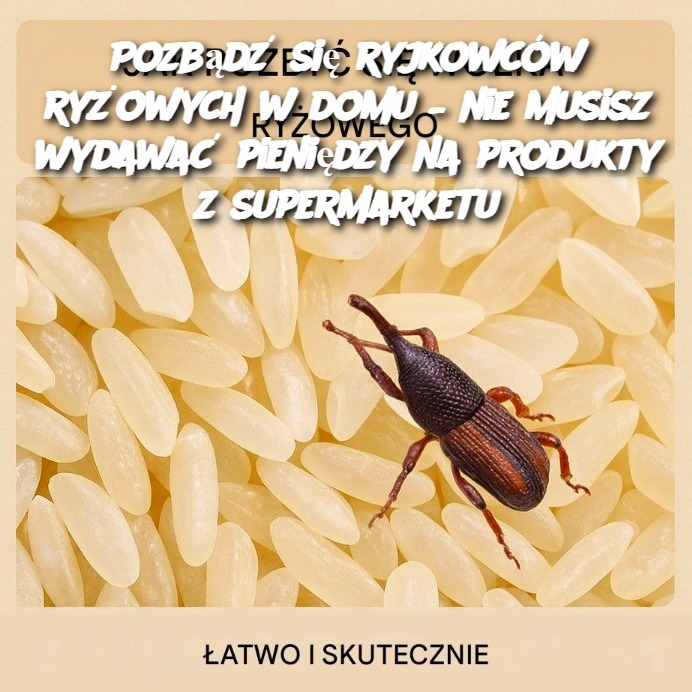 Pozb_d__si__ryjkowc_w_ry_owych_w_domu___nie_musisz_wydawa__pieni_dzy_na_produkty_z_supermarketu Pozb_d__si__ryjkowc_w_ry_owych_w_domu___nie_musisz_wydawa__pieni_dzy_na_produkty_z_supermarketu