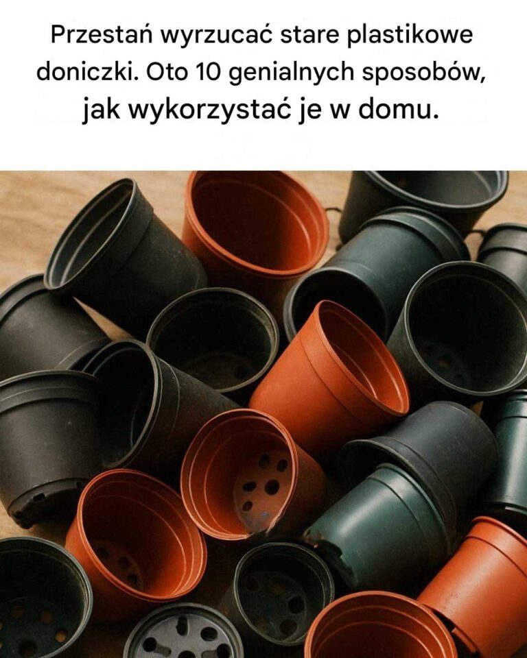 Przesta__wyrzuca__stare_plastikowe_doniczki__Oto_10_genialnych_sposob_w__jak_wykorzysta__je_w_domu_
