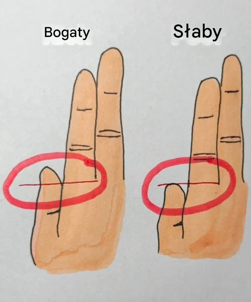 Twoje_palce_mog__ujawni___czy_jeste__bogaty_czy_biedny Twoje_palce_mog__ujawni___czy_jeste__bogaty_czy_biedny