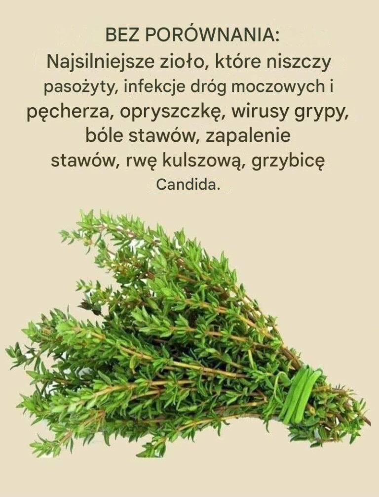 Tymianek__zio_o__kt_re_niszczy_paso_yty__wirusy_grypy_i_wiele_innych