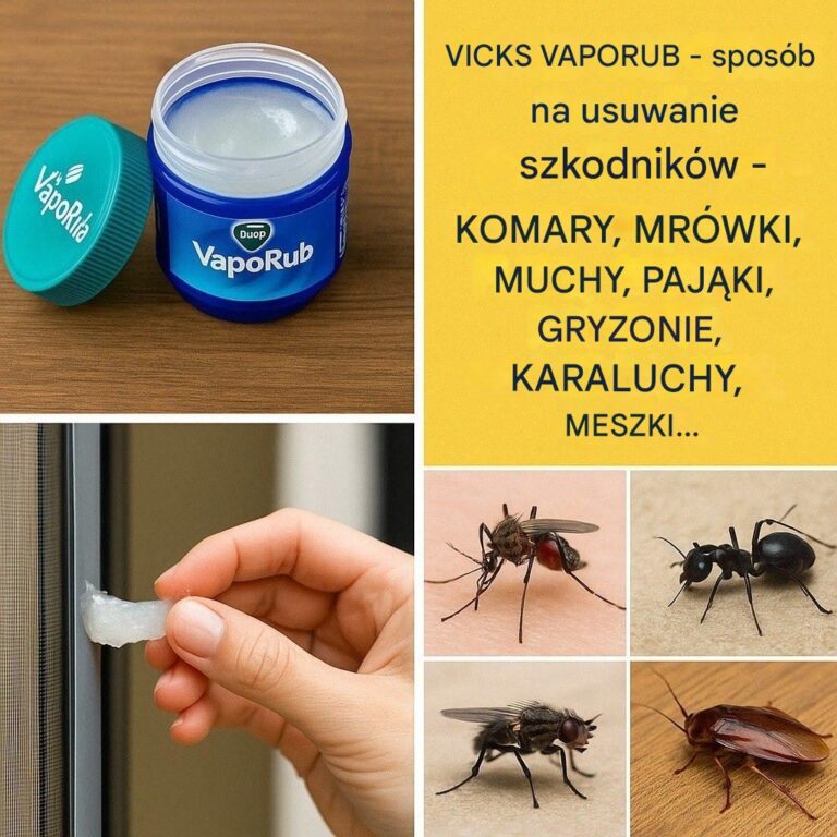 Vicks_VapoRub__zaskakuj_cy_spos_b_na_odstraszanie_szkodnik_w_
