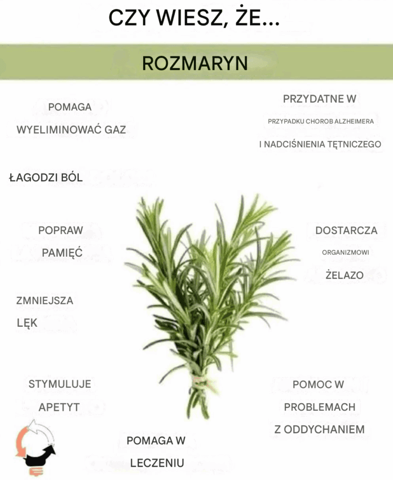 W_a_ciwo_ci_rozmarynu_