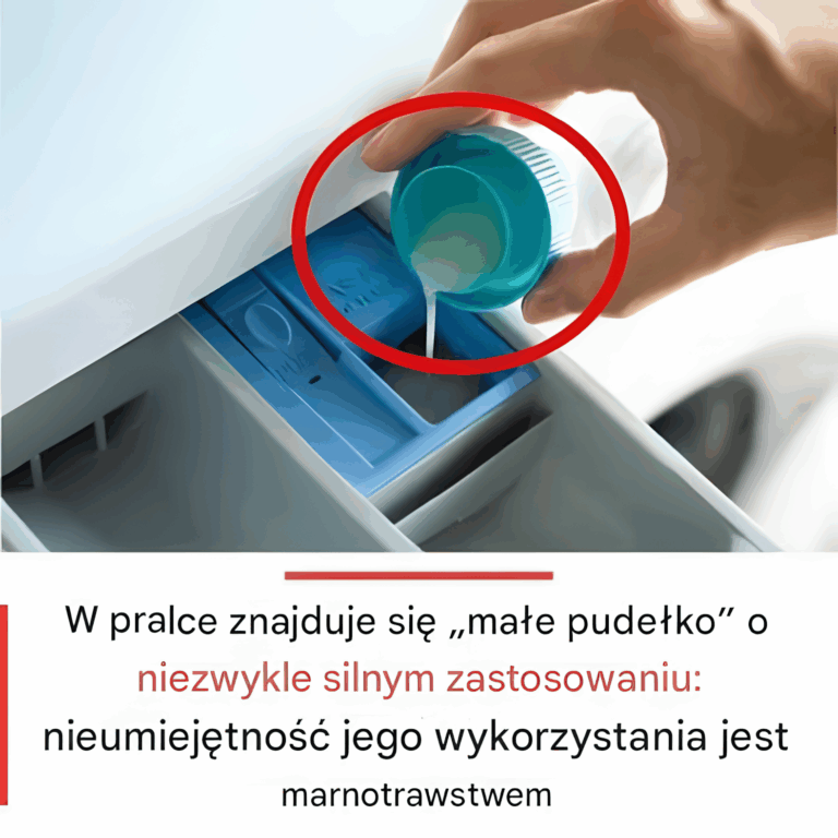 W_pralce_znajduje_si___ma_e_pude_ko__o_niezwykle_silnym_zastosowaniu__nieumiej_tno___jego_wykorzystania_to_marnotrawstwo