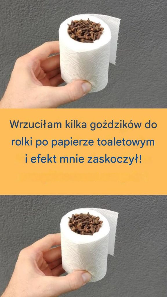 Wrzuci_am_kilka_go_dzik_w_do_rolki_po_papierze_toaletowym_i_efekt_mnie_zaskoczy__