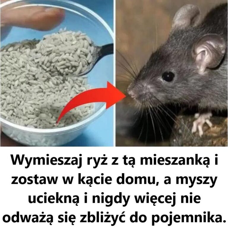 Zastan_w_si__dwa_razy_zanim_u_yjesz_pergaminu_