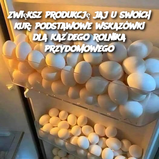 Zwi_ksz_produkcj__jaj_u_swoich_kur__podstawowe_wskaz_wki_dla_ka_dego_rolnika_przydomowego Zwi_ksz_produkcj__jaj_u_swoich_kur__podstawowe_wskaz_wki_dla_ka_dego_rolnika_przydomowego