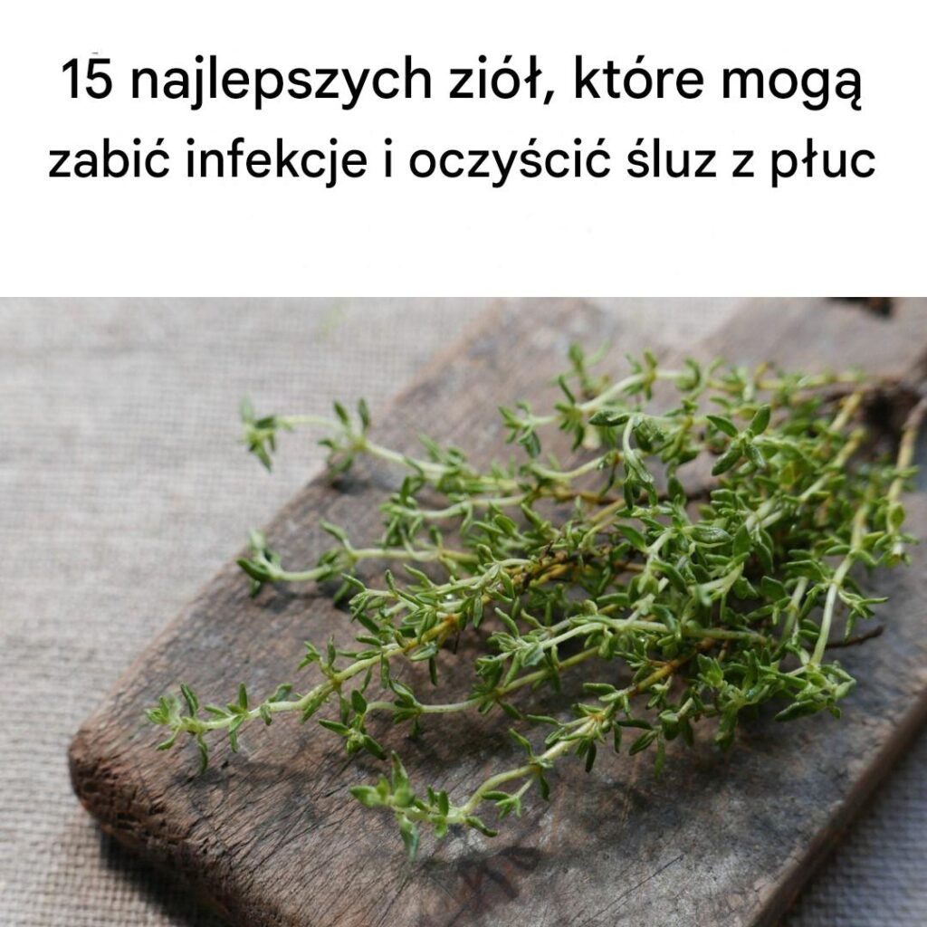 15_najlepszych_zi____kt_re_mog__wspom_c_zdrowie_p_uc_i_oczyszczania__ciek_w 15_najlepszych_zi____kt_re_mog__wspom_c_zdrowie_p_uc_i_oczyszczania__ciek_w