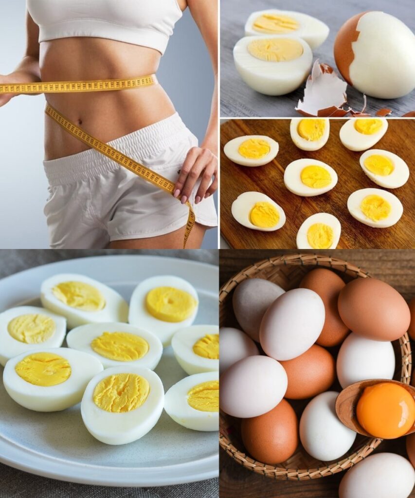 2_tygodnie_temu_2_tygodnie_temu_Dzi_ki_tej_diecie_jajecznej_mog_em_schudn___10_kilogram_w_t_uszczu 2_tygodnie_temu_2_tygodnie_temu_Dzi_ki_tej_diecie_jajecznej_mog_em_schudn___10_kilogram_w_t_uszczu