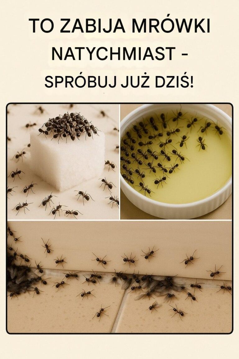 3_najskuteczniejsze_pu_apki__kt_re_na_zawsze_wyeliminuj__mr_wki_z_Twojego_domu_i_balkonu-2