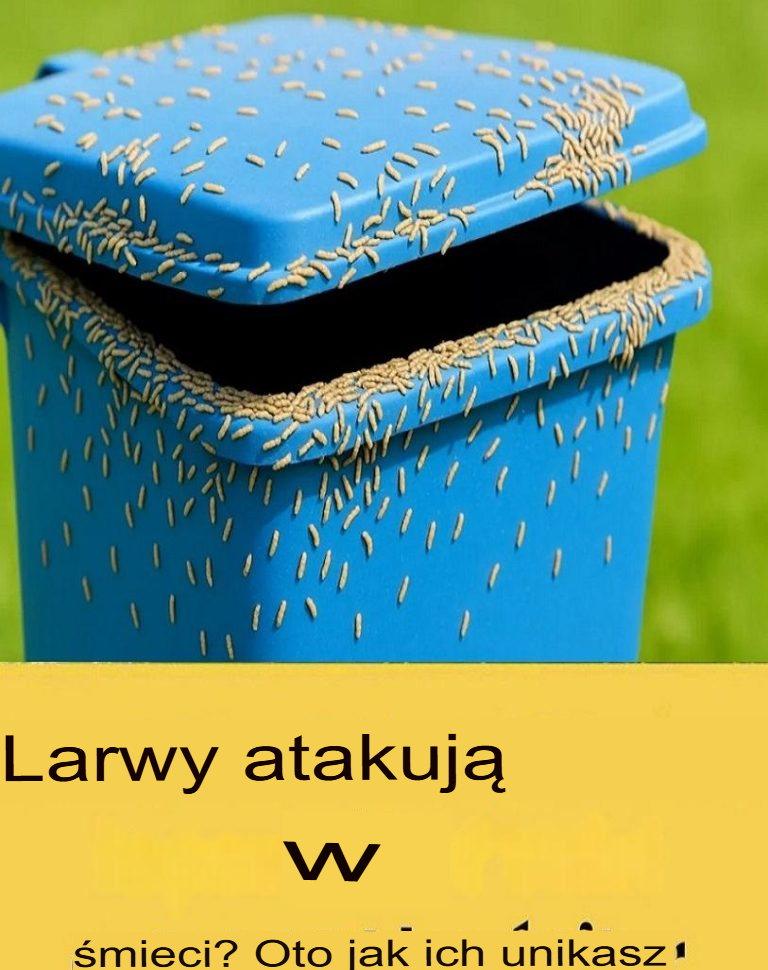 4_radykalne_rozwi_zania__kt_re_pozwol__Ci_pozby__si__asticot_w_z_zewn_trznej_cz__ci_Twojej_poubelle