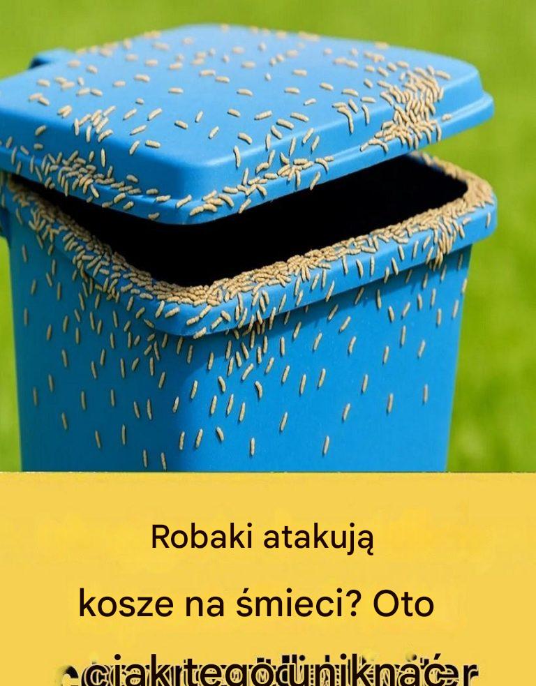 4_radykalne_rozwi_zania__kt_re_pozwol__Ci_pozby__si__robak_w_z_zewn_trznego_kosza_na__mieci 4_radykalne_rozwi_zania__kt_re_pozwol__Ci_pozby__si__robak_w_z_zewn_trznego_kosza_na__mieci