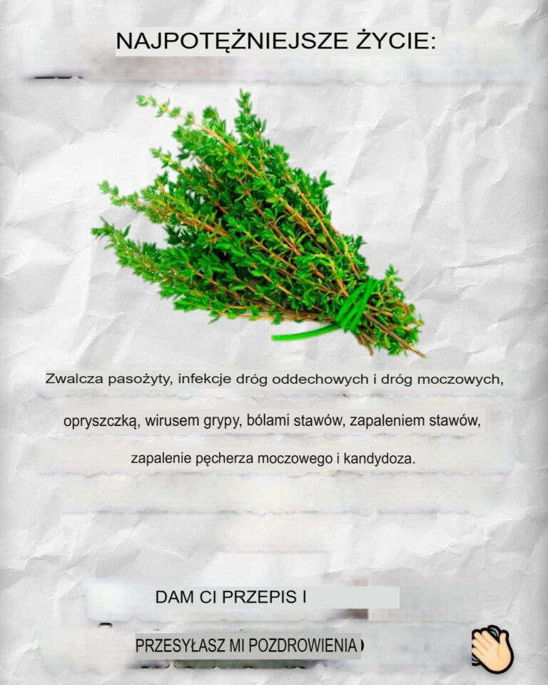 Abstynencja__silne_zio_o_przeciwko_paso_ytom_jelitowym