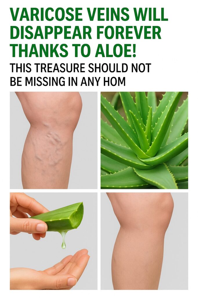 Aloes__Delikatne_rozwi_zanie_na__ylaki Aloes__Delikatne_rozwi_zanie_na__ylaki