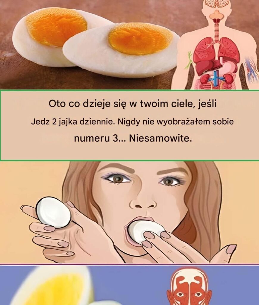 Co_si__stanie_z_Twoim_cia_em__je_li_b_dziesz_je___dwa_jajka_dziennie_ Co_si__stanie_z_Twoim_cia_em__je_li_b_dziesz_je___dwa_jajka_dziennie_