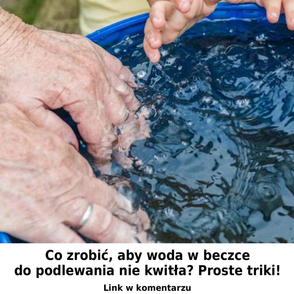 Co_zrobi___aby_woda_w_beczce_do_podlewania_nie_kwit_a__proste_sztuczki Co_zrobi___aby_woda_w_beczce_do_podlewania_nie_kwit_a__proste_sztuczki