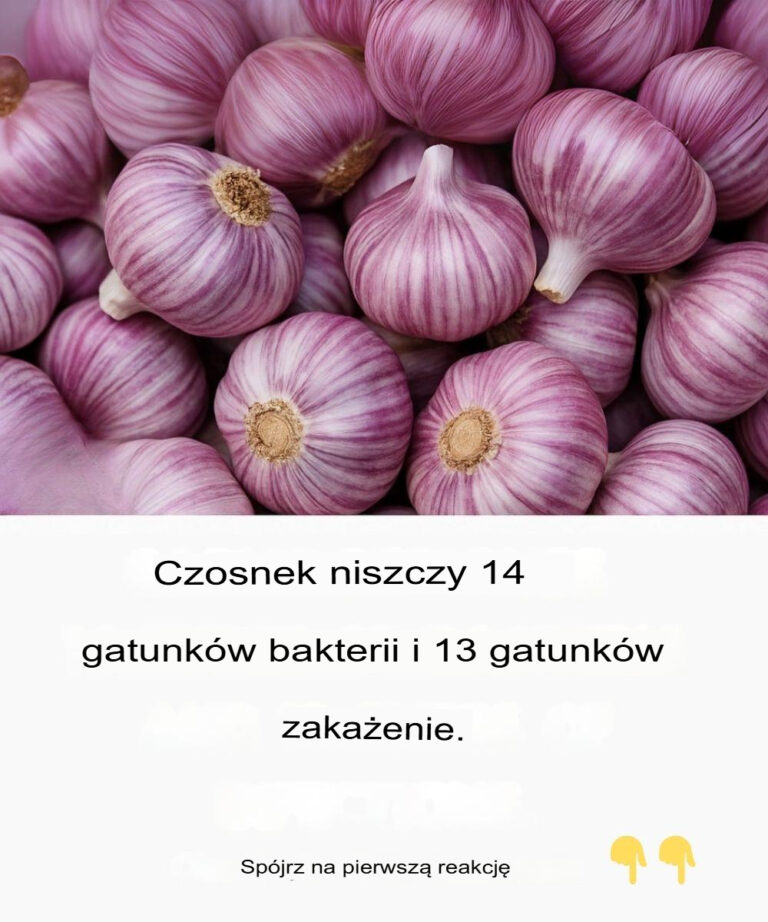 Czosnek_i_go_dziki__dwa_skarby_dla_Twojego_zdrowia