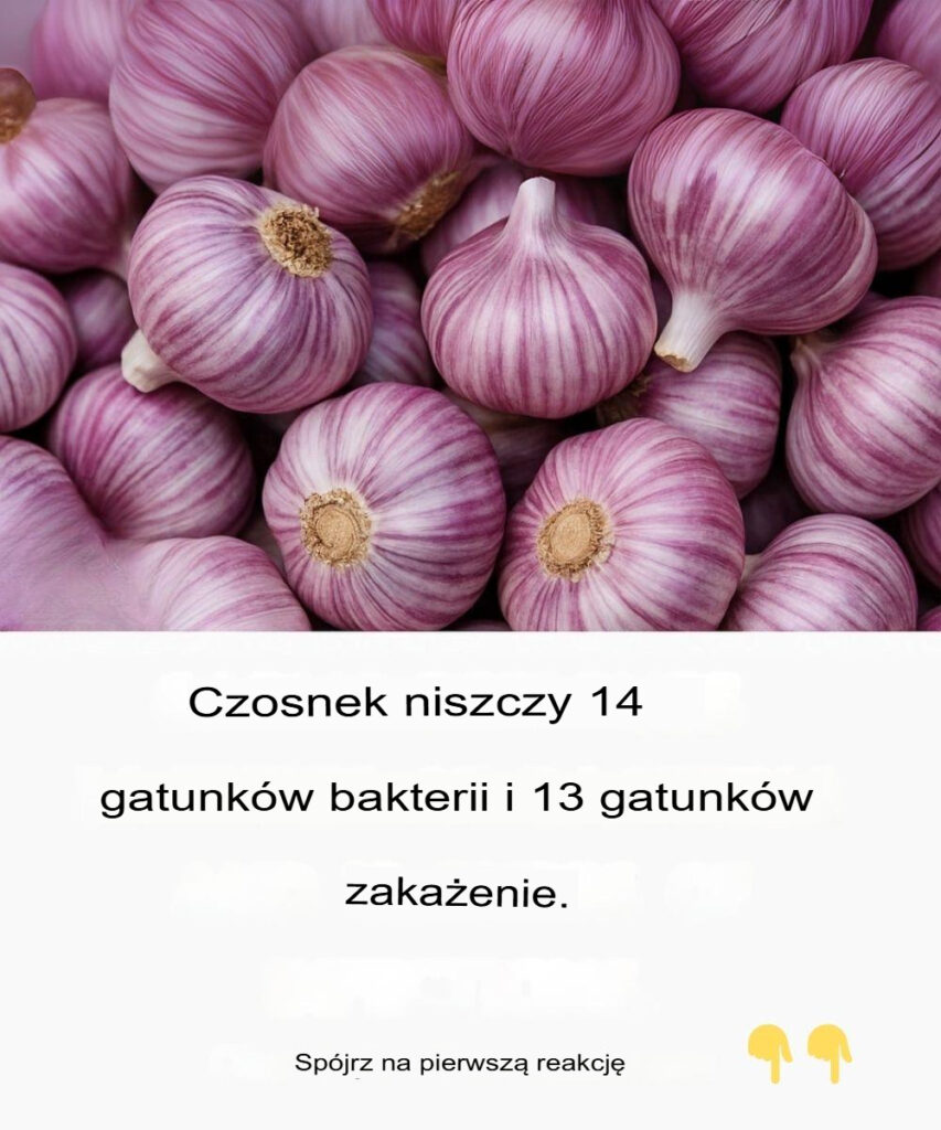Czosnek_i_go_dziki__dwa_skarby_dla_Twojego_zdrowia Czosnek_i_go_dziki__dwa_skarby_dla_Twojego_zdrowia