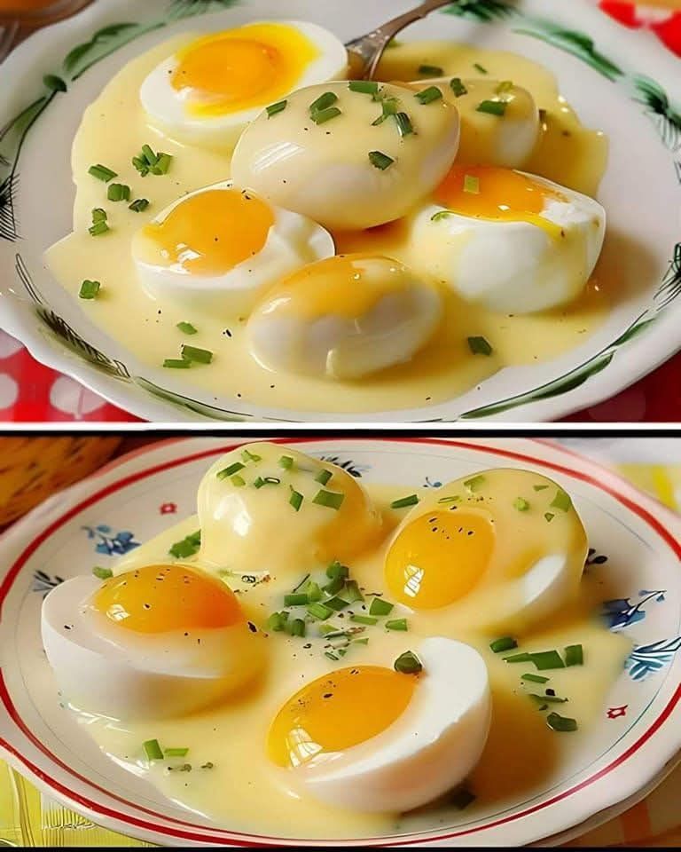 Czy_mog__je___jajka_z_musztard__codziennie_ Czy_mog__je___jajka_z_musztard__codziennie_
