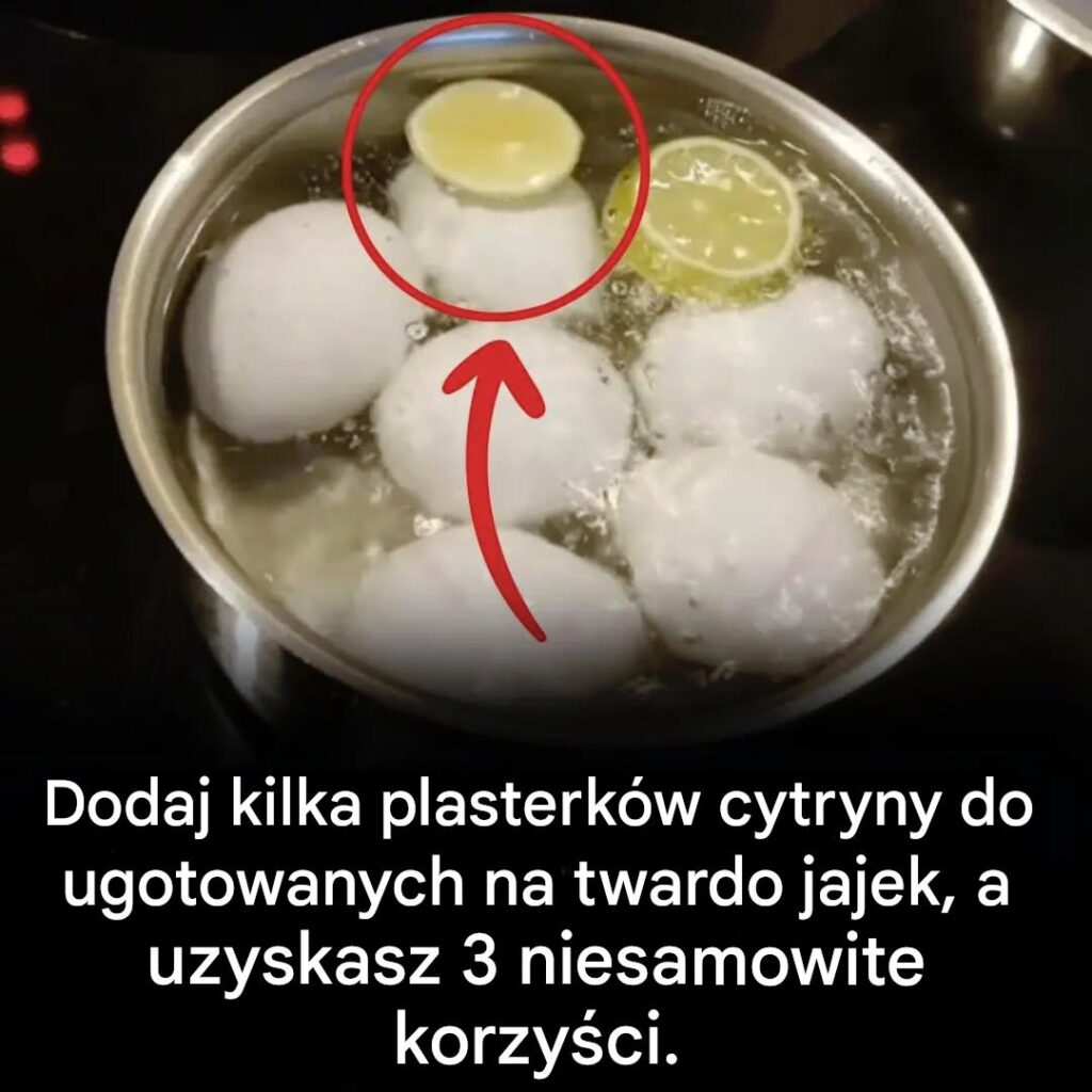 Dlaczego_warto_gotowa__jajka_z_cytryn___nasze_porady Dlaczego_warto_gotowa__jajka_z_cytryn___nasze_porady