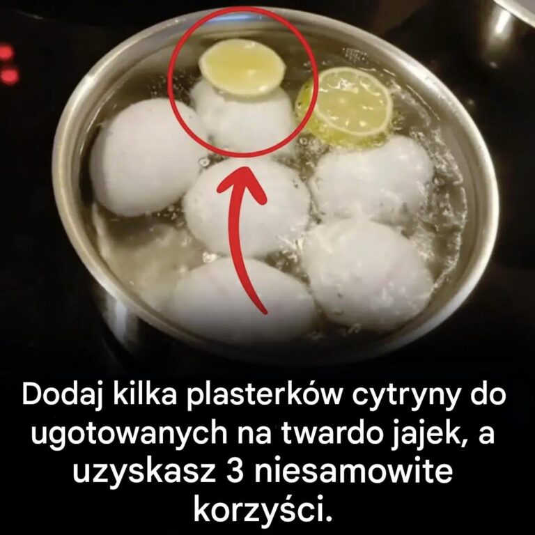 Dlaczego_warto_gotowa__jajka_z_cytryn___nasze_porady