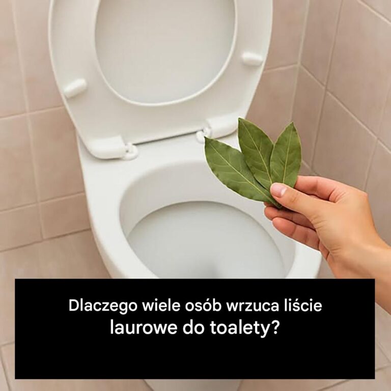 Dlaczego_warto_spuszcza__li_cie_laurowe_w_toalecie_