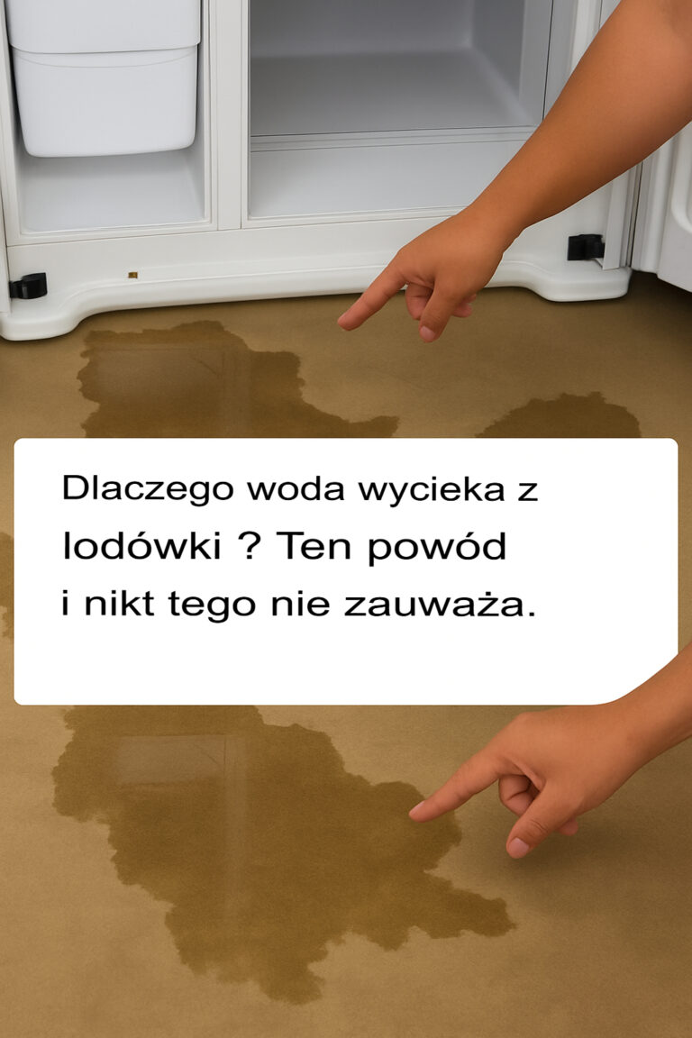 Dlaczego_z_mojej_lod_wki_wycieka_woda__Pomijany_pow_d__kt_ry_musisz_zna__