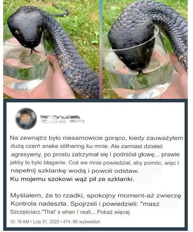 Dziki_w____b_aga___mnie_o_wod___Kiedy_kontrola_zwierz_t_zda_a_sobie_spraw___dlaczego__powiedzia_a___Mia_e__szcz__cie__