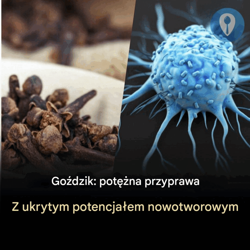 Go_dziki__silna_przyprawa_o_ukrytym_potencjale_zwalczaj_cym_raka Go_dziki__silna_przyprawa_o_ukrytym_potencjale_zwalczaj_cym_raka