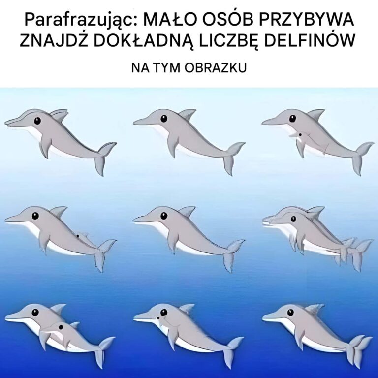 Ile_delfin_w_widzisz_na_tym_obrazku_-1